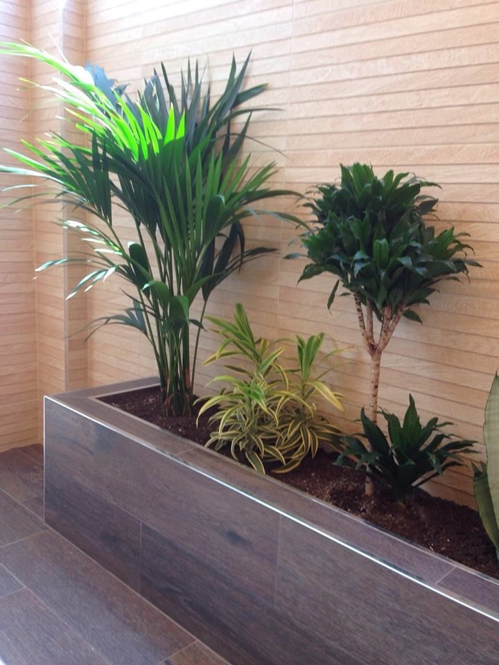 تصميم وتنفيذ الاحواض (7)