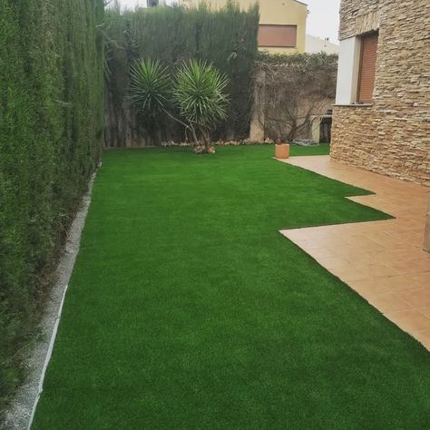 تنسيق حدائق (44)