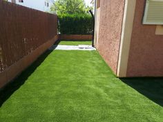 تنسيق حدائق (46)