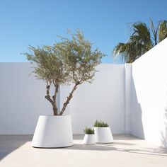 تنسيق حدائق (66)