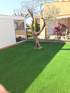 تنسيق حدائق (70)