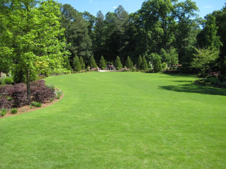 تنسيق حدائق (77)