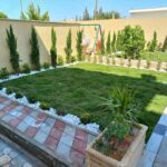 عشب طبيعي (3)