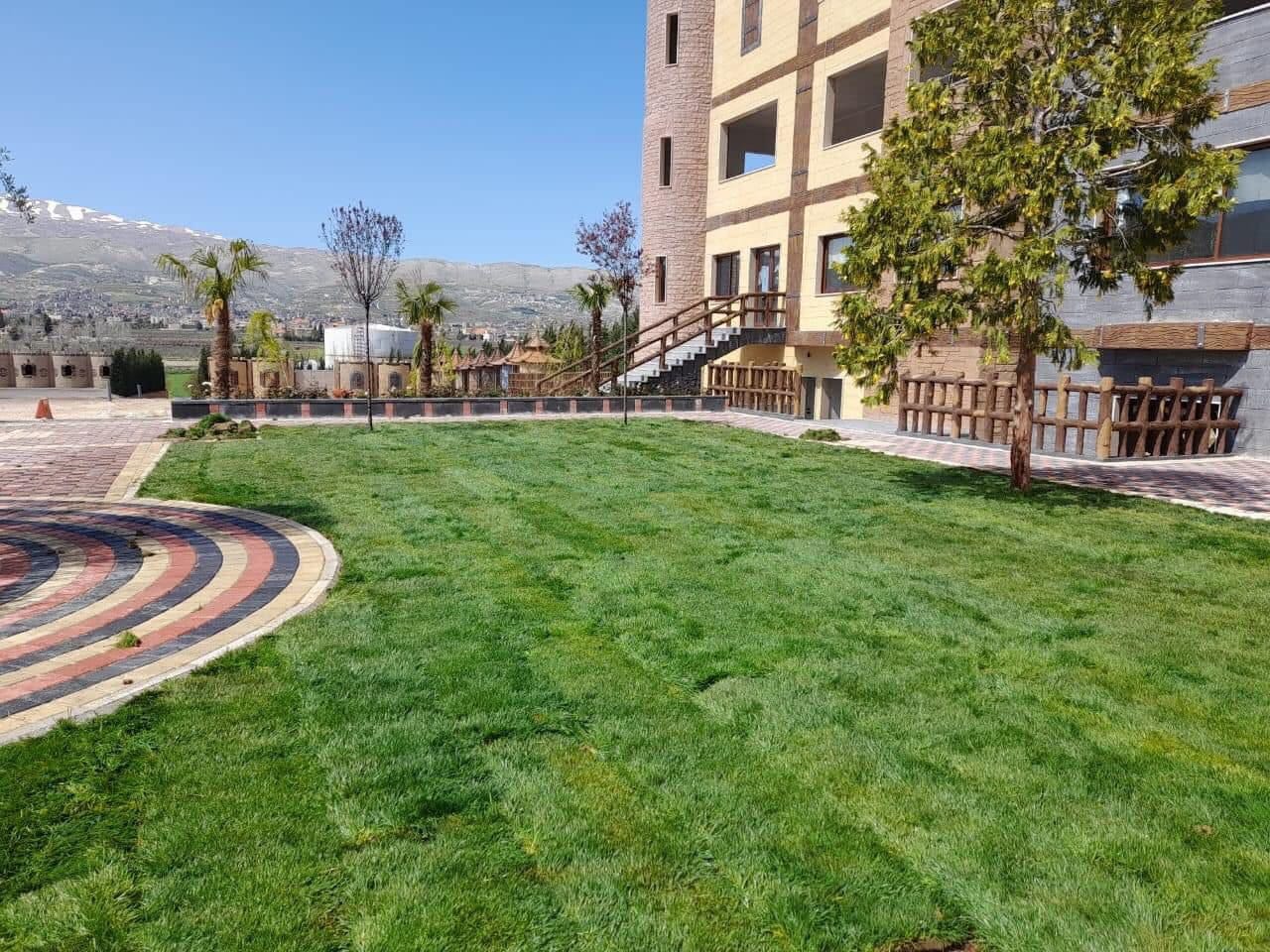 عشب طبيعي (4)