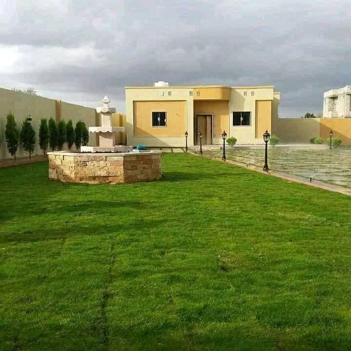 عشب طبيعي (6)