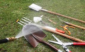 قص اشجار ومعالجة الامراض (23)