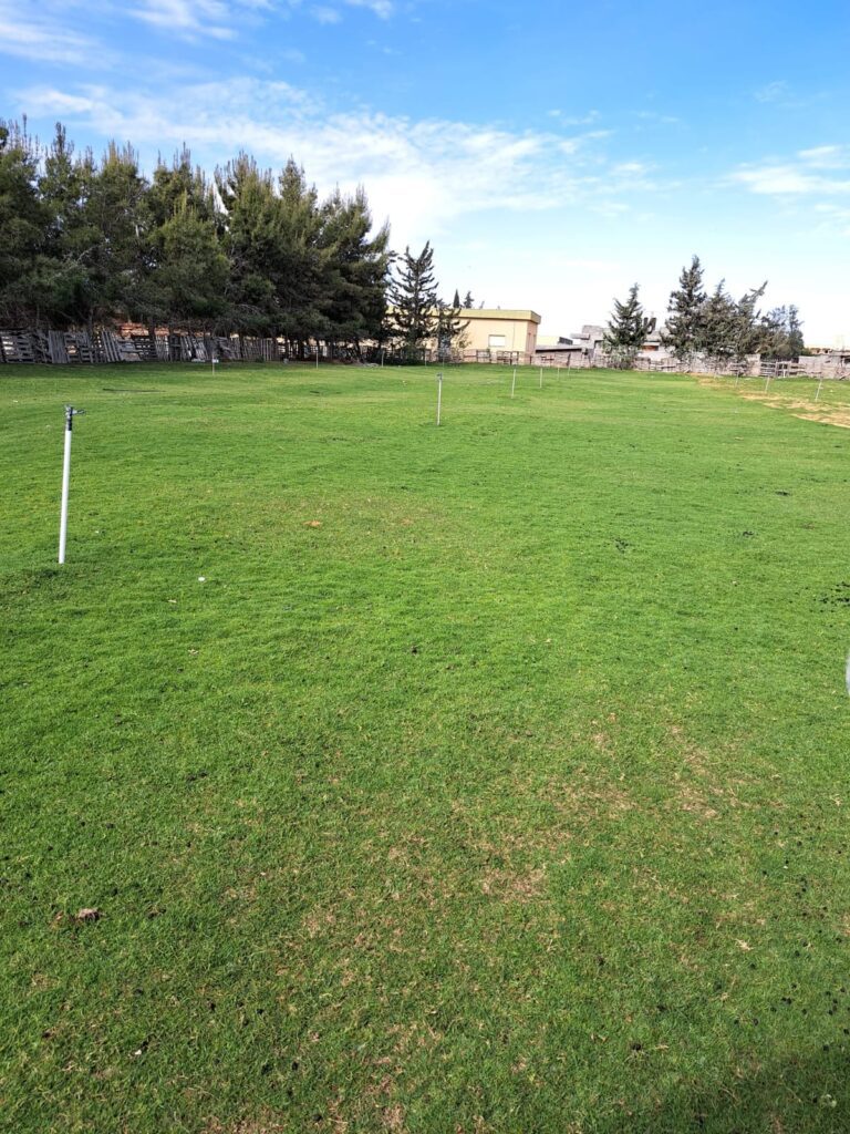 قص اشجار ومعالجة الامراض (26)